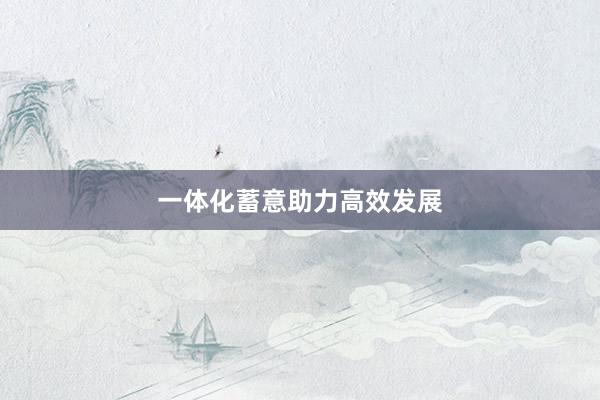 一体化蓄意助力高效发展