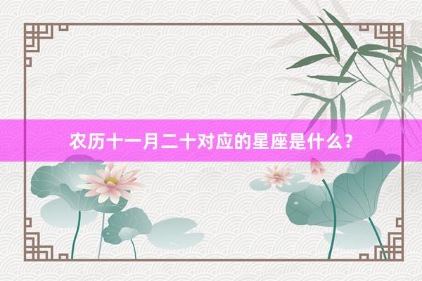 农历十一月二十对应的星座是什么？