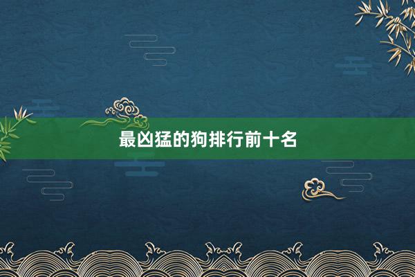 最凶猛的狗排行前十名