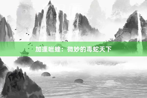 加蓬咝蝰：微妙的毒蛇天下