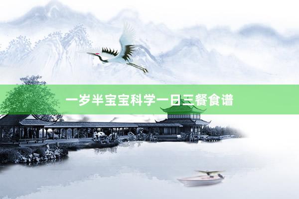 一岁半宝宝科学一日三餐食谱