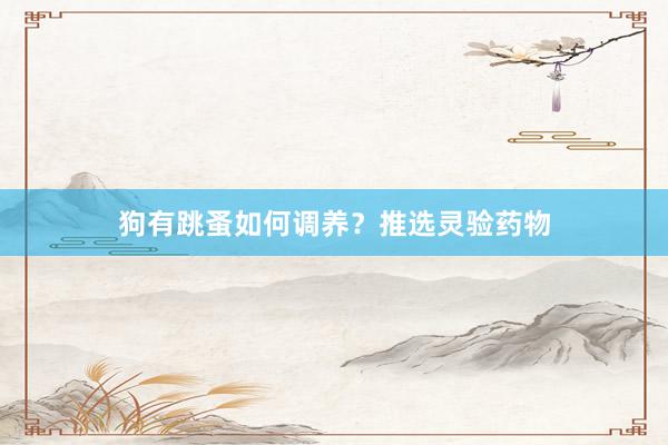 狗有跳蚤如何调养？推选灵验药物